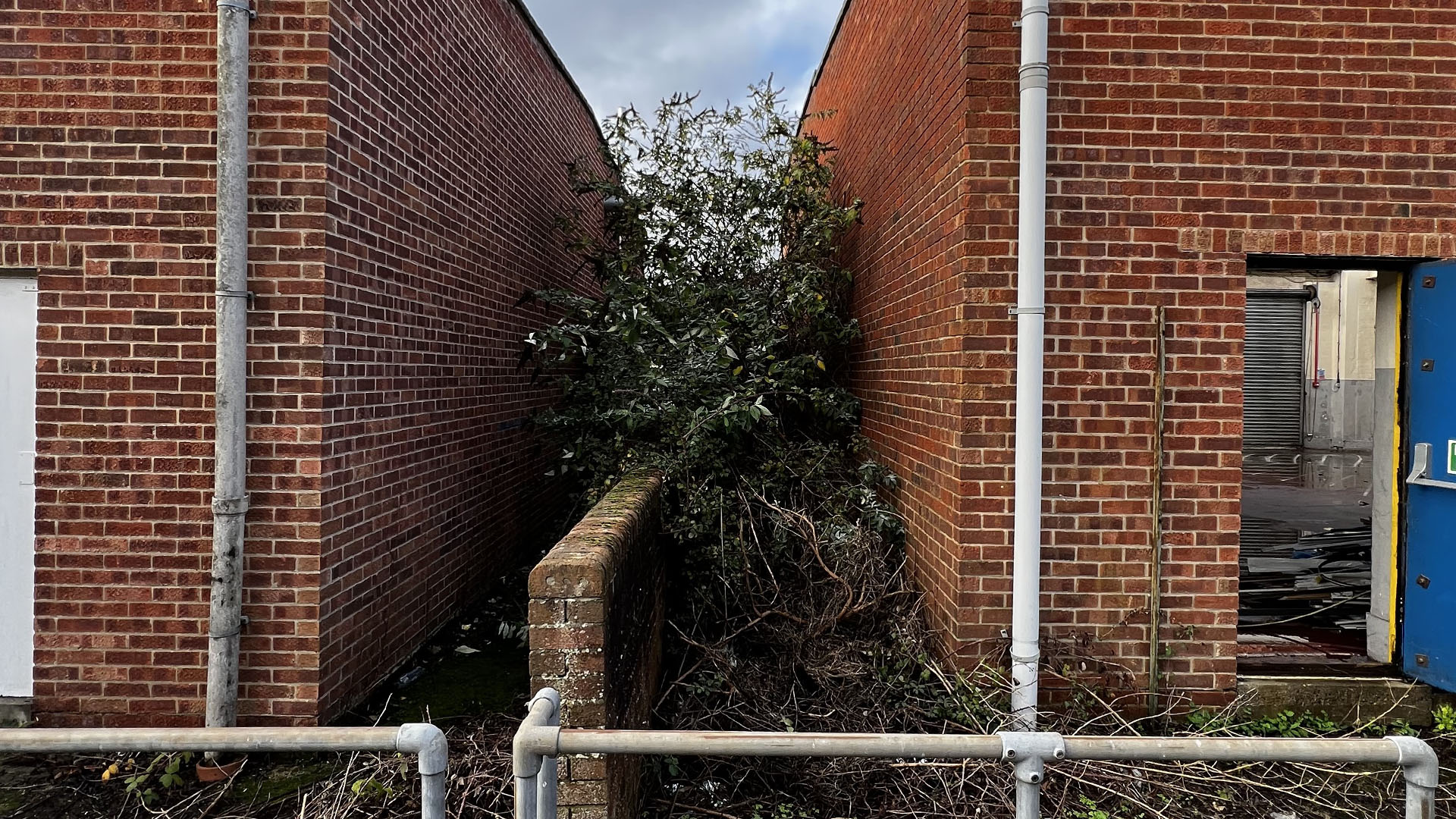 Who Should You Contact First — The Council, a Surveyor, or Your Neighbour Leeds?